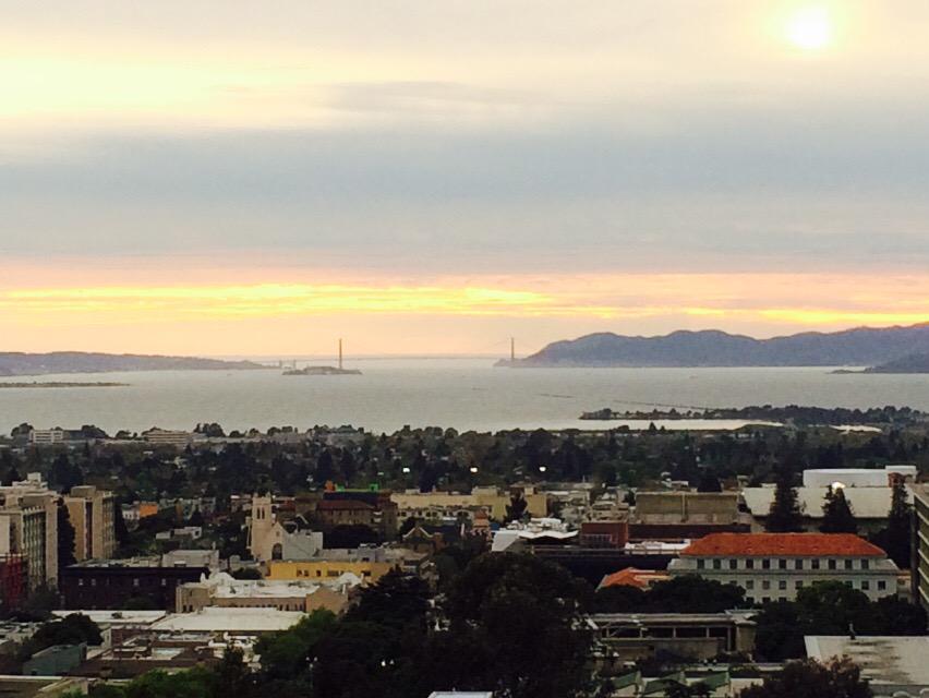 Ron Rivera tweet media