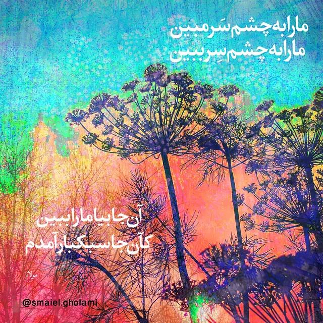 PhotogFound's tweet image. #photography Designed by @smaielgholami.

#graphicdesign #natureindesign #photoshop #rumi #iraniandesigners

#طراحى…