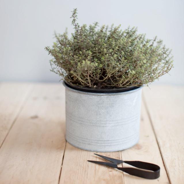 Workshopliving's tweet photo. #workshopliving #simpleliving #zinc #herbs #thyme #herbsnips #shoplocal #gather #brighton http://t.co/DazTMuA4BX