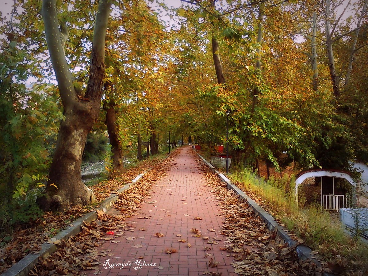 Şimdi burada baharı görmek de vadı...