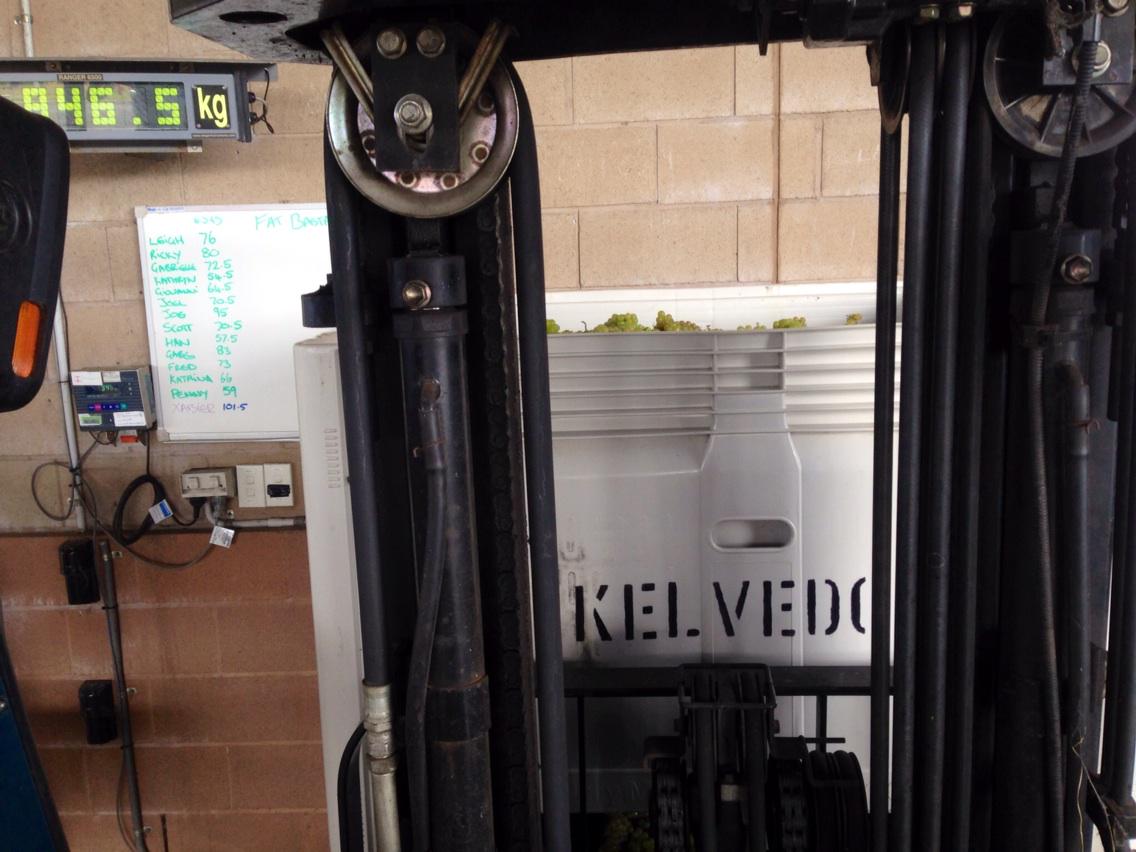 BayOfFiresWines's tweet photo. Weigh bridge fixed! Just in time for #Tas East Coast #HouseofArras fruit #beerfines V15 http://t.co/N4AorATPZA