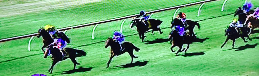 tequilaqueen07's tweet photo. @_Equiano @newsellspark @SwettenhamStud #DOMANUS becomes the first winner for Equiano in Aus http://t.co/Cx3DdmOhXV