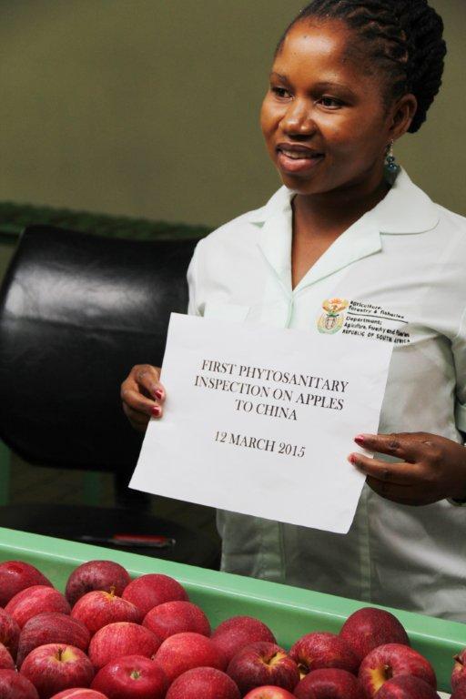 TommievanZyl's tweet photo. A #first for #SouthAfrica, #Corefruit and #ZZ2!
Direct route to #China opened with apple consignment #RoyalBeaut http://t.co/WGDV7X4zsP
