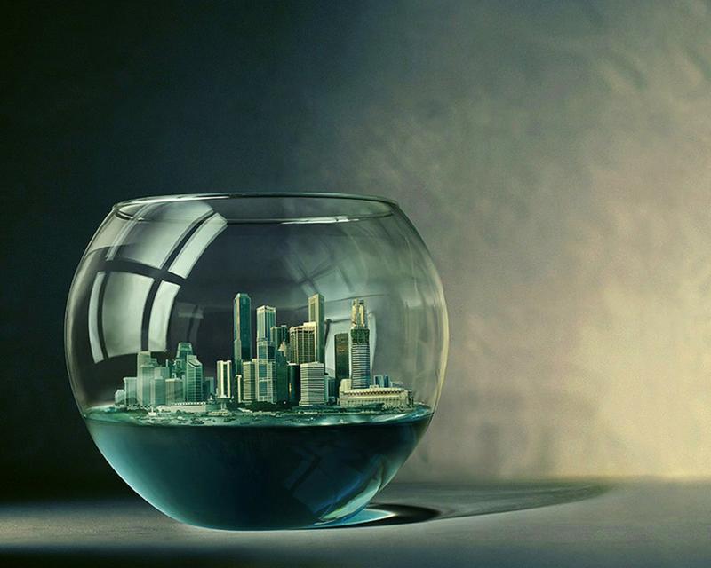 FinestFishTanks tweet picture