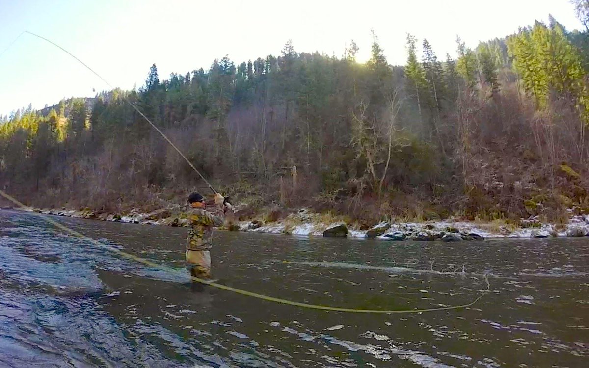 Idaho_Erik's tweet photo. http://t.co/AOMREYYBty #steelheading with @rogeroutdoors = good times! #idaho #flyfishing #flyfishingblog #steelhead http://t.co/QrZRkLug0Q