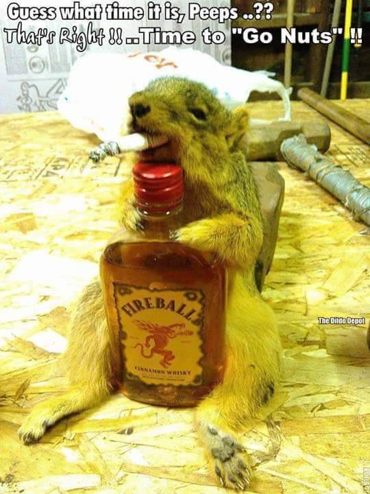 zappafaye's tweet image. #WhootWhoot #ItIsTheWeekend :) @squirrel8870