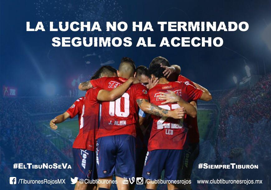 fidelkugra's tweet photo. La Tiburomanía debe sentirse ahora, la lucha no ha terminado, el próximo fin de semana habrá revancha #SiempreTiburón http://t.co/JNC57Yc1Kg