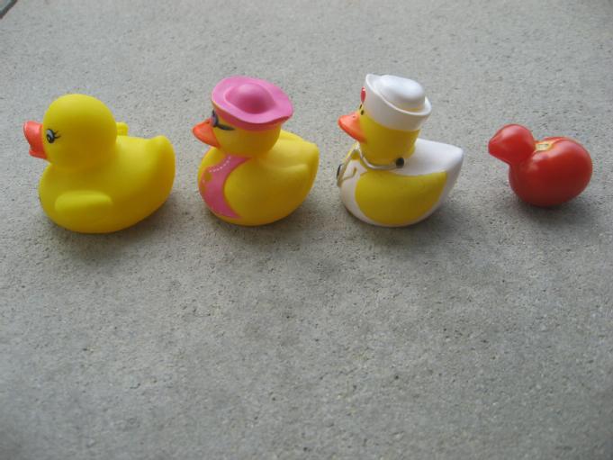 UglyFruitAndVeg's tweet photo. Friday's Favorite - THE TOMATO DUCKIE TRIES TO BLEND IN #UglyVegProblems #TinyTomato #VeggieDuckie http://t.co/8e1vC1sGVA