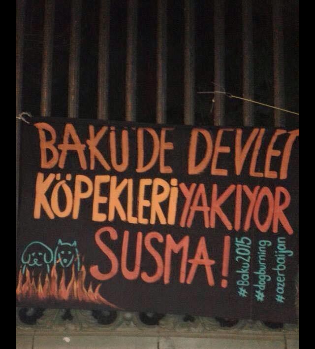 OzgurKarcioglu's tweet photo. Sokak hayvanları sokağın halkıdır! Azerbaycan'da HayvanKatliamını Lanetliyoruz.
#boycott2015EuropeanGames #dogburning http://t.co/0m2frcvEyA