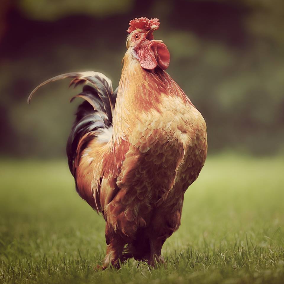 InExtensoULB's tweet image. Qui dit weekend dit occasion de se creuser les méninges pour trouver le thème de notre prochaine émission! #Indice