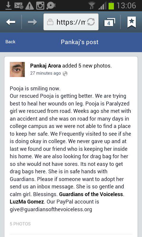 Miranda4Animals's tweet photo. Please share #Dog Pooja's story so she can get #dogwheels & adoption.
https://t.co/oo96VyoSXd
@simongregson123 http://t.co/88e4ThXa7I