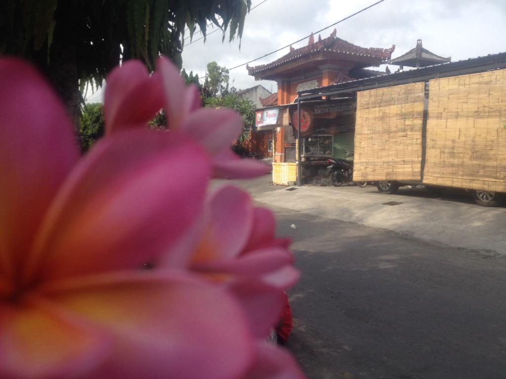 yatanaputra46's tweet photo. Inilah gambar pertama untuk menjadi photograper profesional http://t.co/CftzlUN5b0