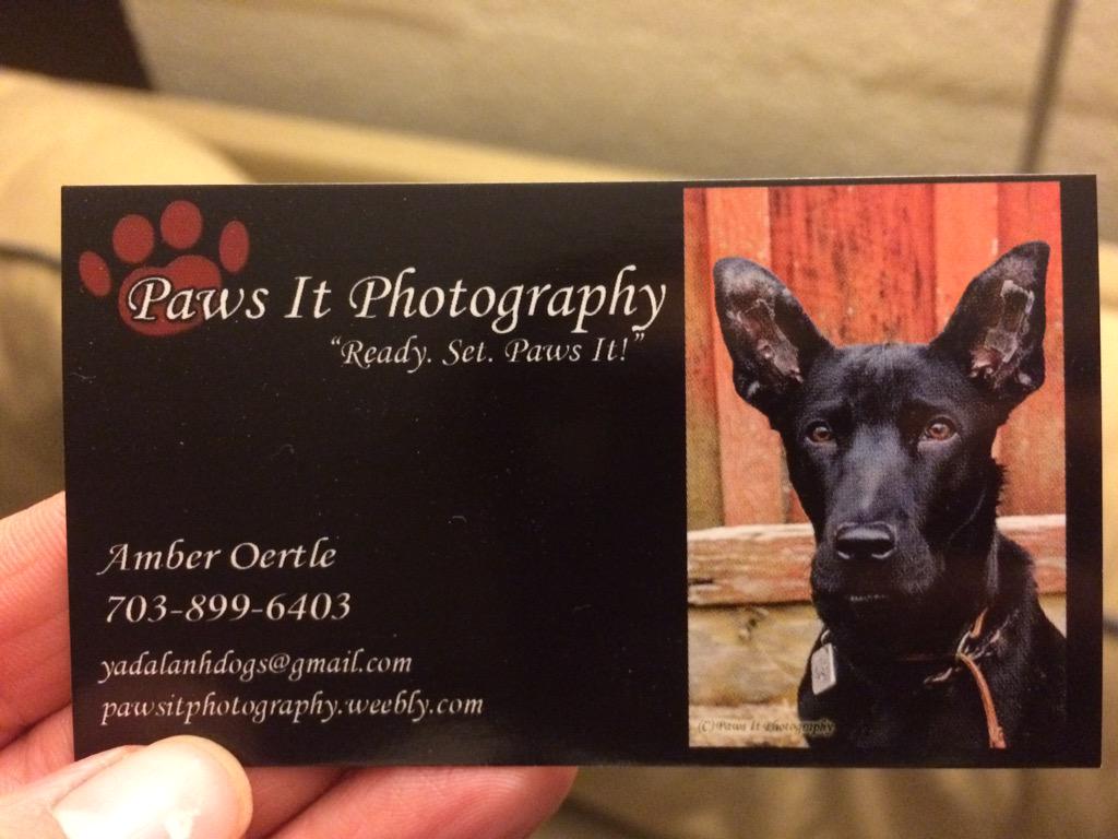 amoertle's tweet photo. New business cards are here. Yay!!!! Check my photography out at http://t.co/70ac3aN5o3 http://t.co/JktPtMgXdD