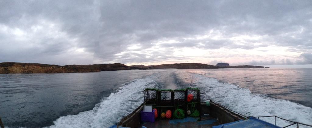 Dallon Gregory-Hunt tweet media