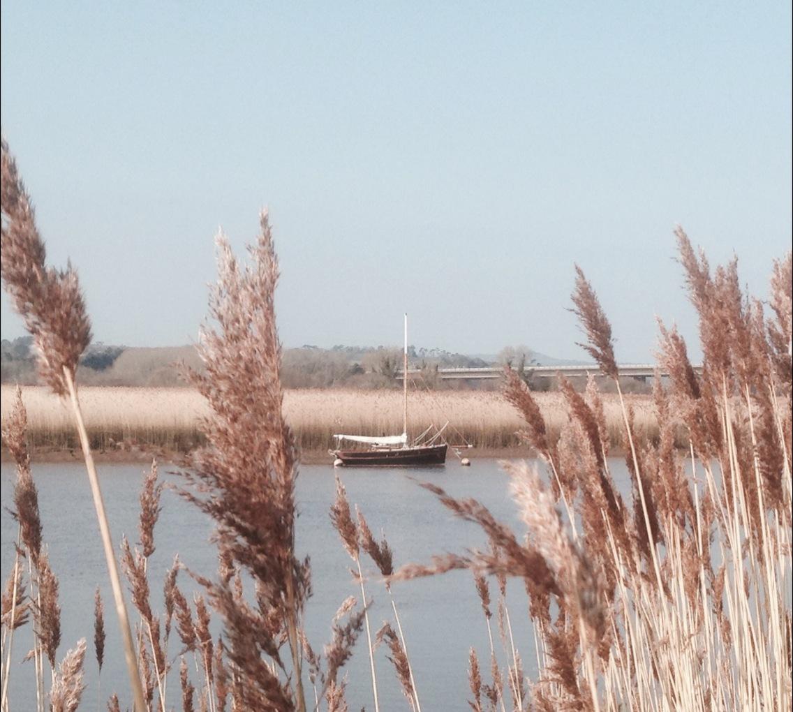 DrSamWillis's tweet photo. Someone's a lucky boy. #hiddengem #inthereeds http://t.co/5ALqvJQST6
