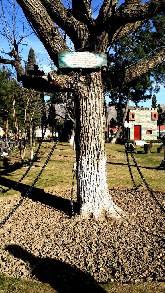 Un oficial del ejército inglés borracho arrestó a un árbol en 1898... ¡y aún sigue preso! CADQ2oOU8AECxTn