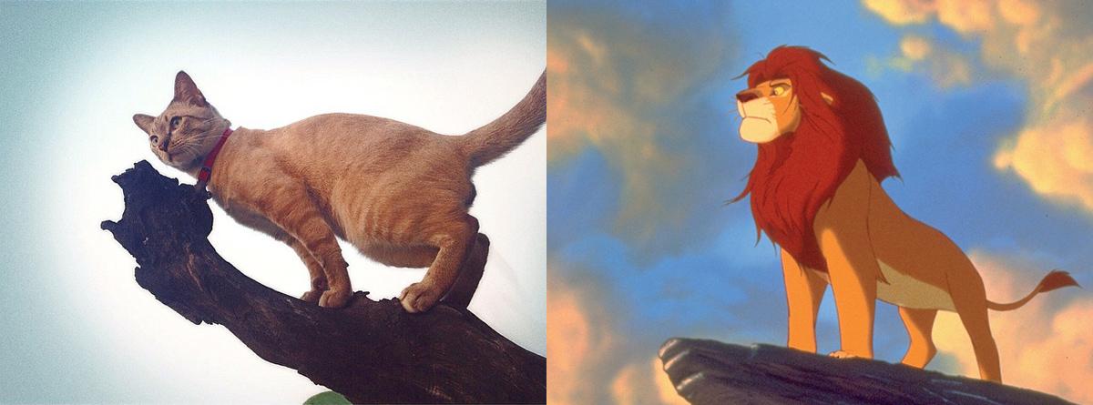 KomsakAddams's tweet image. เธอเข้าใจตัวเองผิดเสมอนะ.ลิขิตอักษร.เราเหนื่อยที่จะเตือน.ทีโมนและพุมบ้าจะไม่มีวันร้องเพลง.ฮาคูน่า มาทาท่า. ให้เธอฟัง.