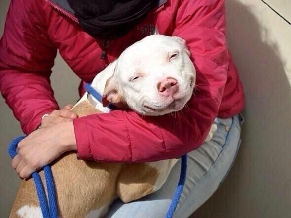 Pitcher_Swag's tweet photo. When bae come to your game http://t.co/4jo7RtRvSW