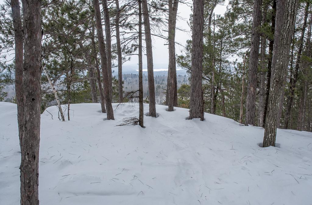 tnkcanoe's tweet photo. Another view from the Lookout Trail @Algonquin_PP last weekend.#hiing #winterphotography #nature http://t.co/TxAYk9CbxW