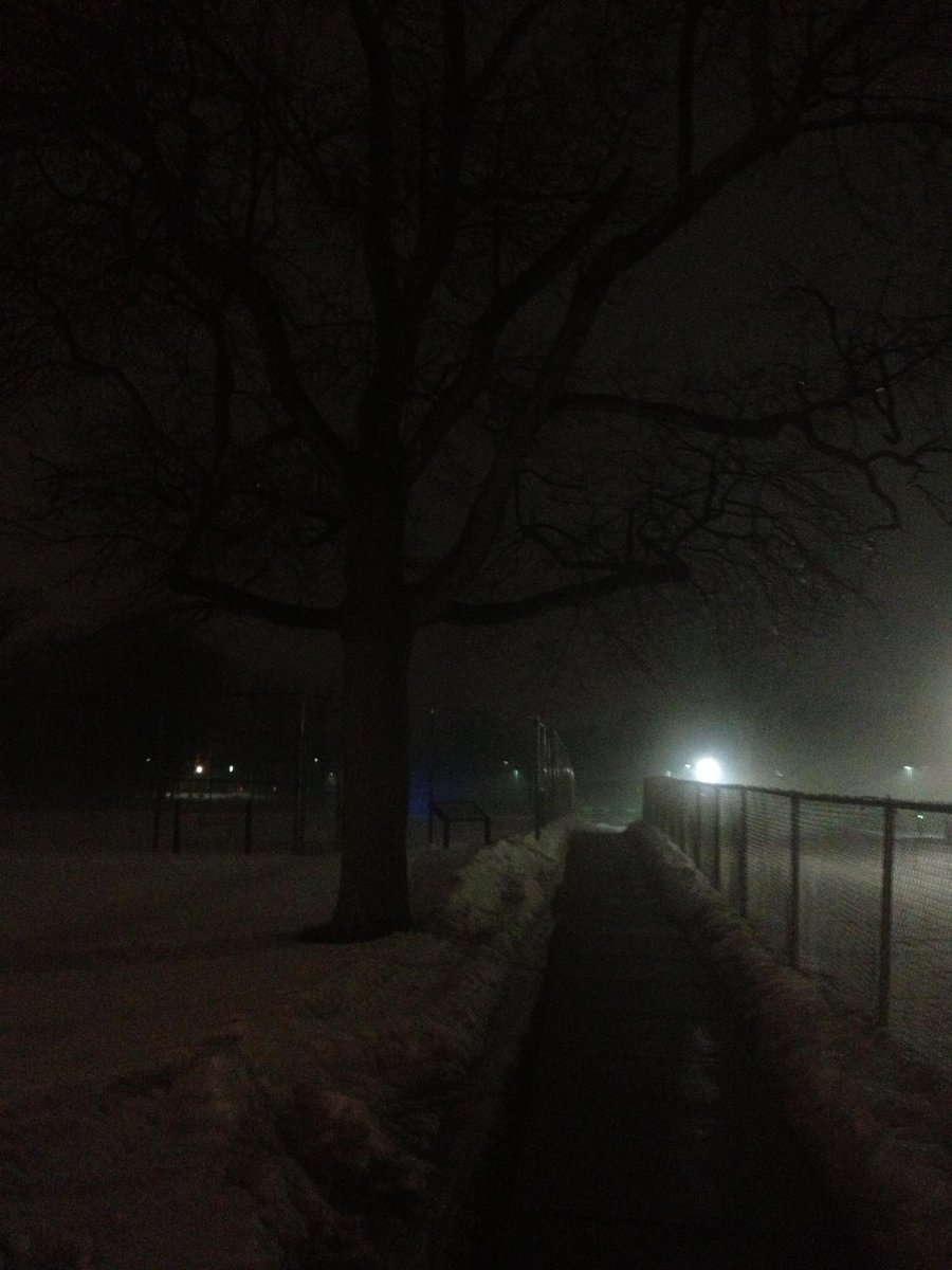 cecilydarcy's tweet photo. Went for a walk in the rain last night, and it was gorgeous and foggy. #beautiful http://t.co/Lw4nBfYEqq