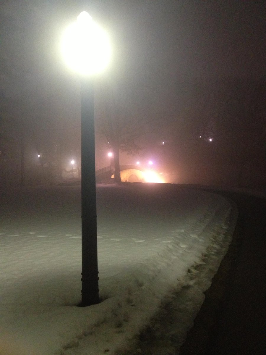 cecilydarcy's tweet photo. Went for a walk in the rain last night, and it was gorgeous and foggy. #beautiful http://t.co/Lw4nBfYEqq