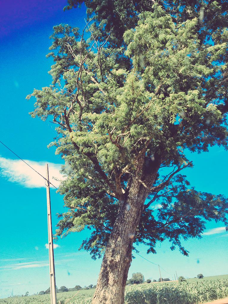 7j07ynh4h's tweet image. (*.*)

Que Há #Doce #Brisa #Passageira Nos #Alcance...
*.*