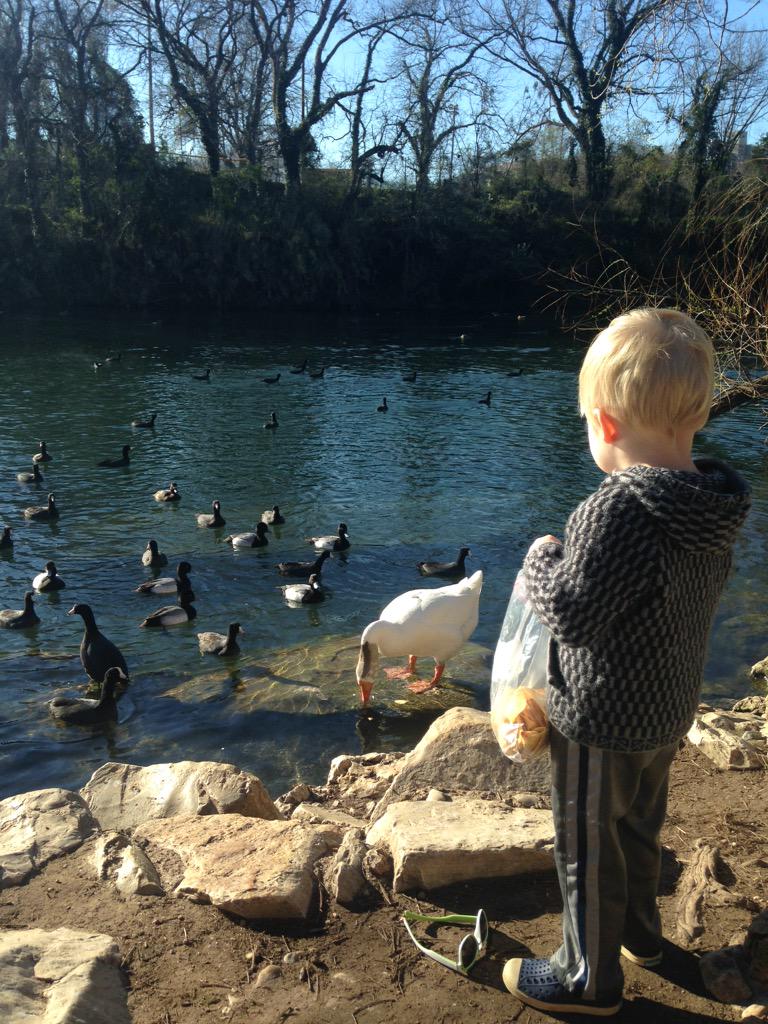 JKN789's tweet image. Starting Spring Break right! #TownLake #ducks #bobstroller
