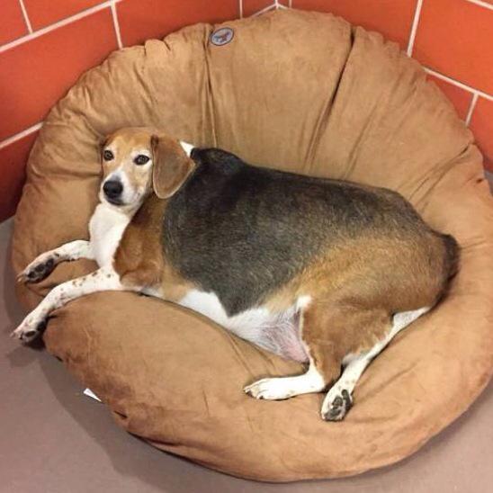 Self Esteem tweet media