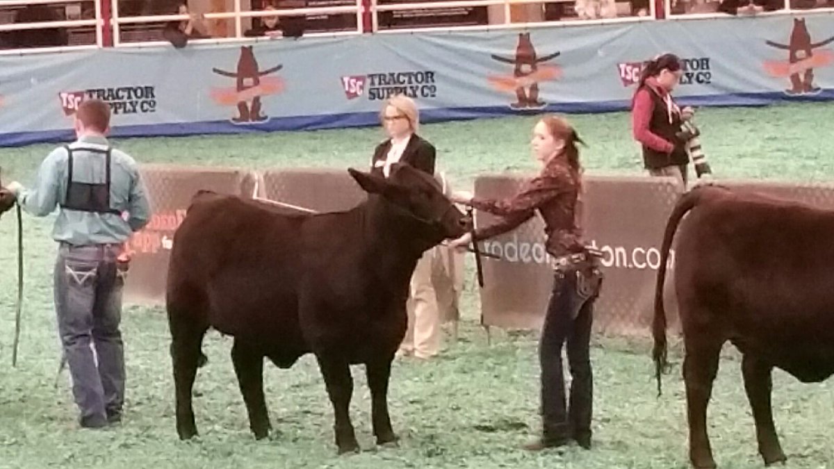 dean_chhs's tweet photo. FFA member Cheyenne  Griffin placed 7th w/ her Brangus heifer at the Houston Stock Show. http://t.co/aeQDuUBAhZ
