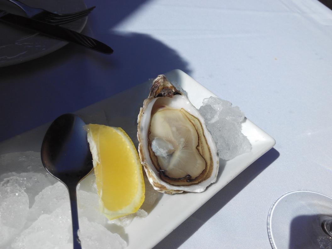Riquisimo almuerzo el <a href="/sacristiagastro/">Sacristía Gastrobar</a>  😋😋