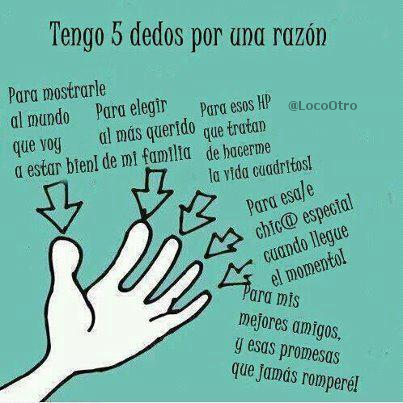 LocoOtro's tweet photo. Tengo 5 dedos por una razón. http://t.co/wCSSq6QqTz