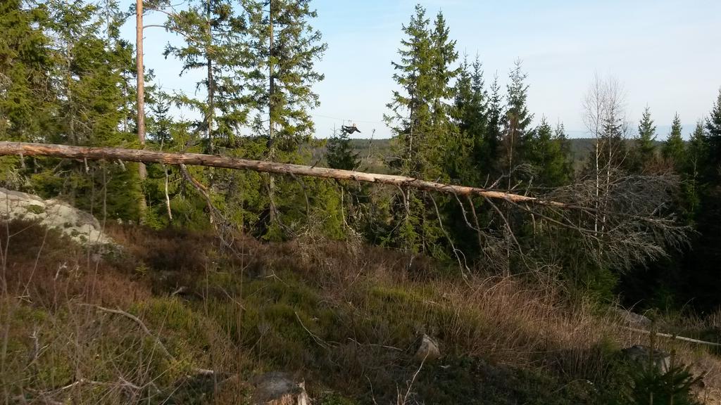 Little Rock Lake AB (@swedenzipline) on Twitter photo 