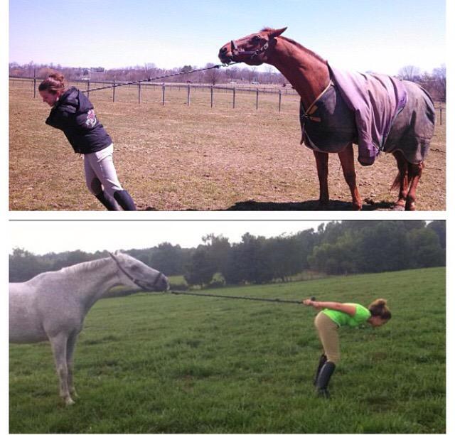BurkeKayy's tweet photo. @HorseCollab We refuse to be ridden until we get out our own @OgilvyEq saddle pad! #HC20padpromo http://t.co/9II98J0k6b