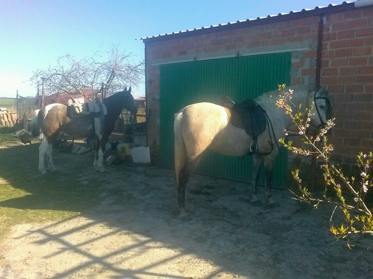 pedrojosehern13's tweet photo. Nos vamos para valdehuncar @aleperaleo http://t.co/kgtO0l2sTc