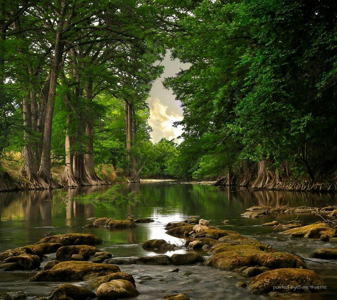 Naturalmind2's tweet image. Calm and Beautiful. http://t.co/VJLbGdCqDx"