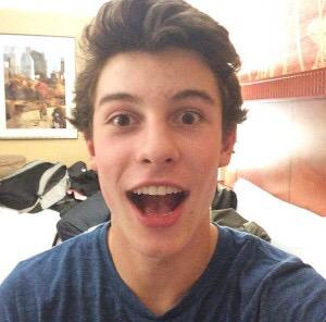 Beanieboyshawn's tweet photo. When you remember handwritten comes out in a month @ShawnMendes #HandwrittenApril14th http://t.co/Am2EqrWr5g