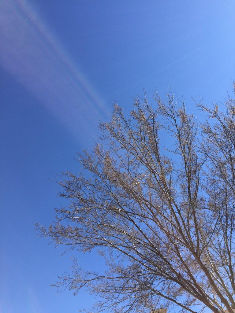 simplemanprayer's tweet image. It's beautiful in Austin today! Kinda looks like the cover of #SimpleManSimplePrayer, doesn't it?