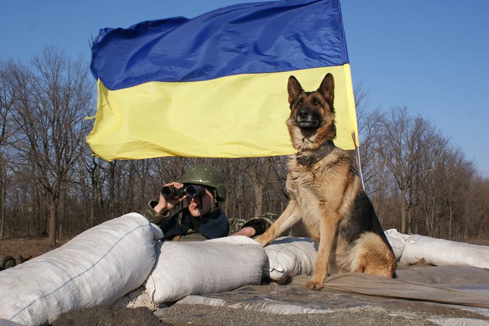 Пограничники обнаружили склад оружия и боеприпасов в Мариуполе - Цензор.НЕТ 9669
