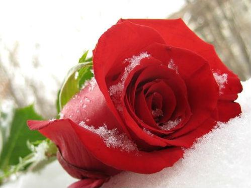 1965Azad's tweet photo. @humasahh_ http://t.co/g0vDegIfTH