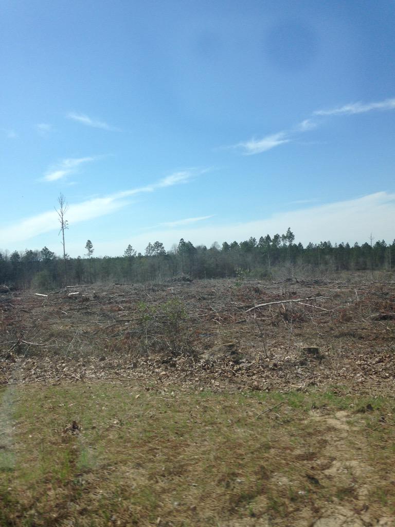 "That's an unfortunate slaying of trees" <a href="/ChandlerTinsley/">Chandler Tinsley</a> ...we've been in the car way too long.