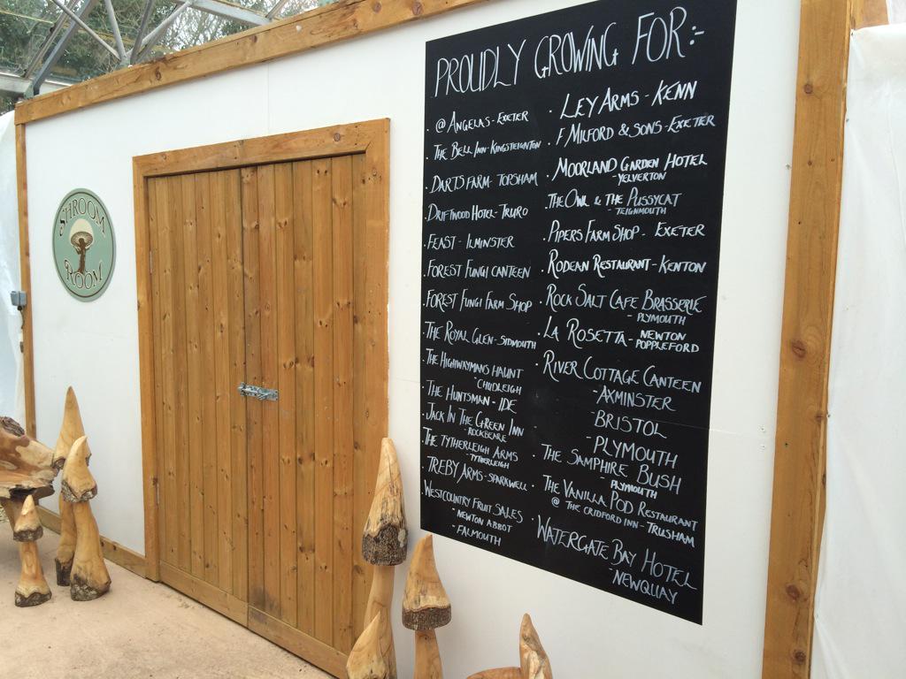 Forest Fungi Devon tweet media