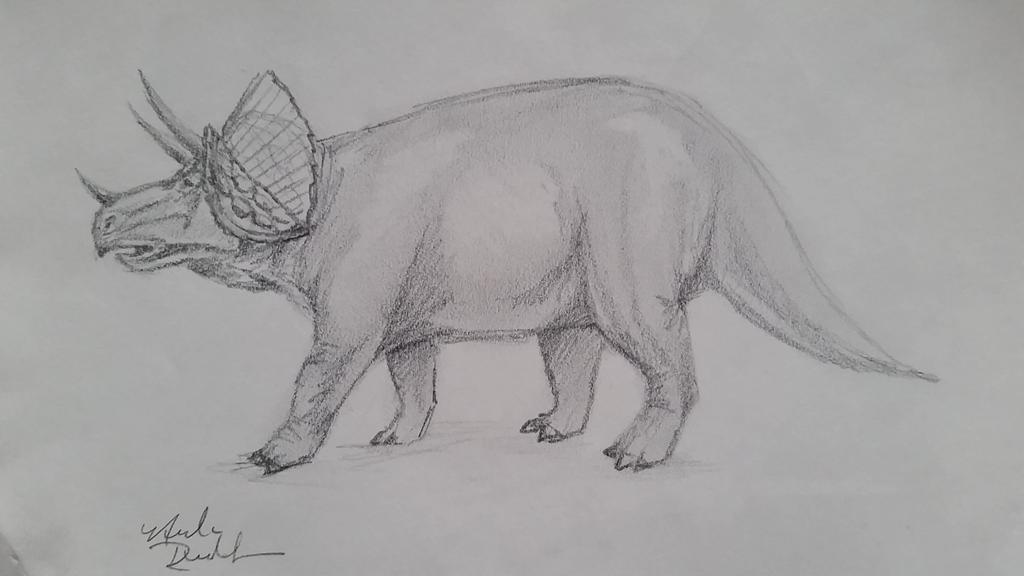 CW_MgtHunterShp's tweet photo. Sara our #Millinery #dinosaur #capenvy #rawr #colonialwilliamsburg #18thcentury #goofy #comic @colonialwmsburg http://t.co/jhat8Tz2Bh