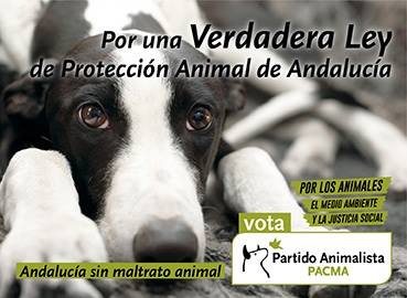PartidoPACMA's tweet photo. Difunde nuestro programa para que llegue a todas las personas que aún no nos conocen http://t.co/VCfVFMUpG8 http://t.co/c3XquRi2o5