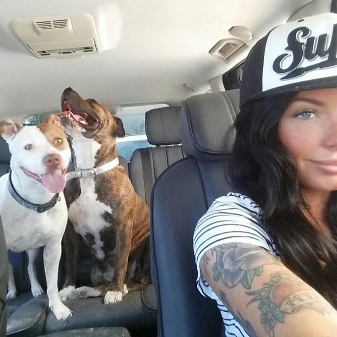 The second they load into the rover, they know it's puppachino time. http://t.co/97H061tdaD<a href="/tag/mackmonday"class="tags"><span>#mackmonday</span></a>