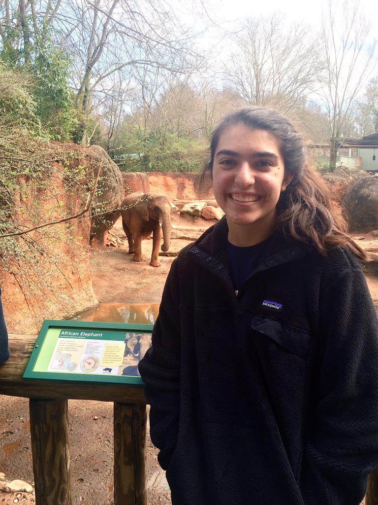 sarahgoldenn's tweet photo. #elphie @ZooATL http://t.co/GLT6Y5s7pm