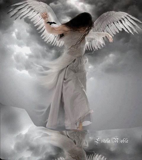 DomiLewis's tweet photo. #Angels #LostSouls #FallenAngels Us, you, Me, #FallenHumanity http://t.co/z5VVciI43C