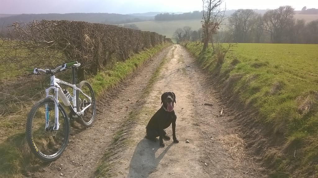 RootedMtb's tweet photo. This afternoon just north of Stanmer near Brighton http://t.co/ai3Y0yr3QI