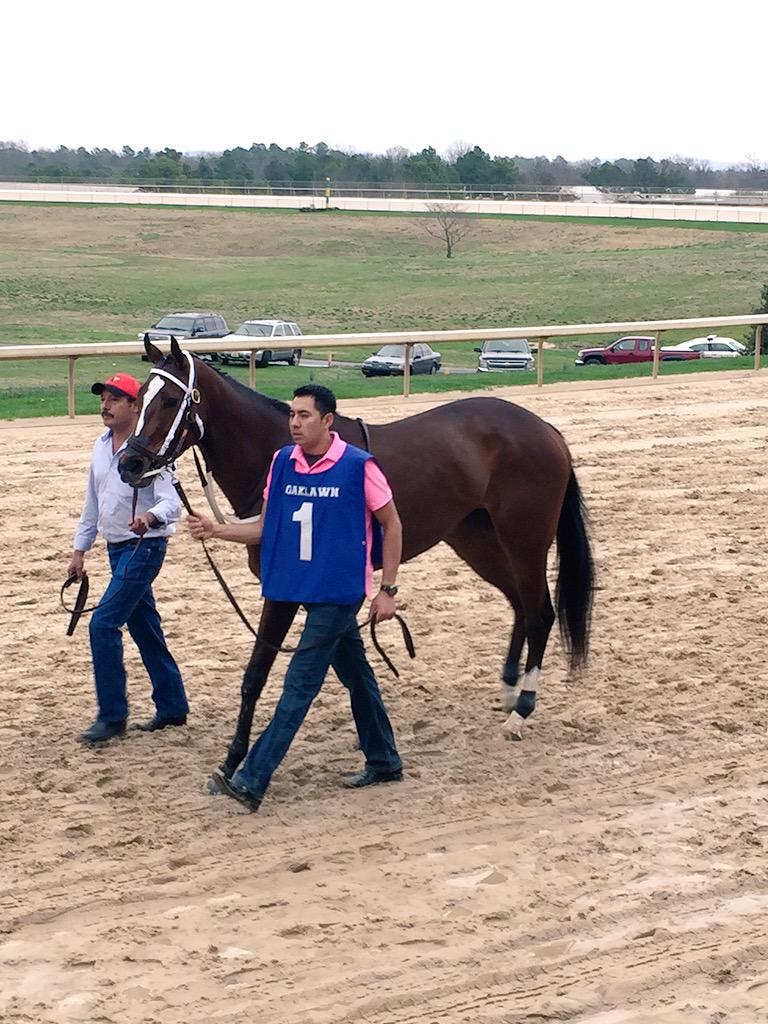 racing_dudes's tweet image. Look at this freak. #Untapable