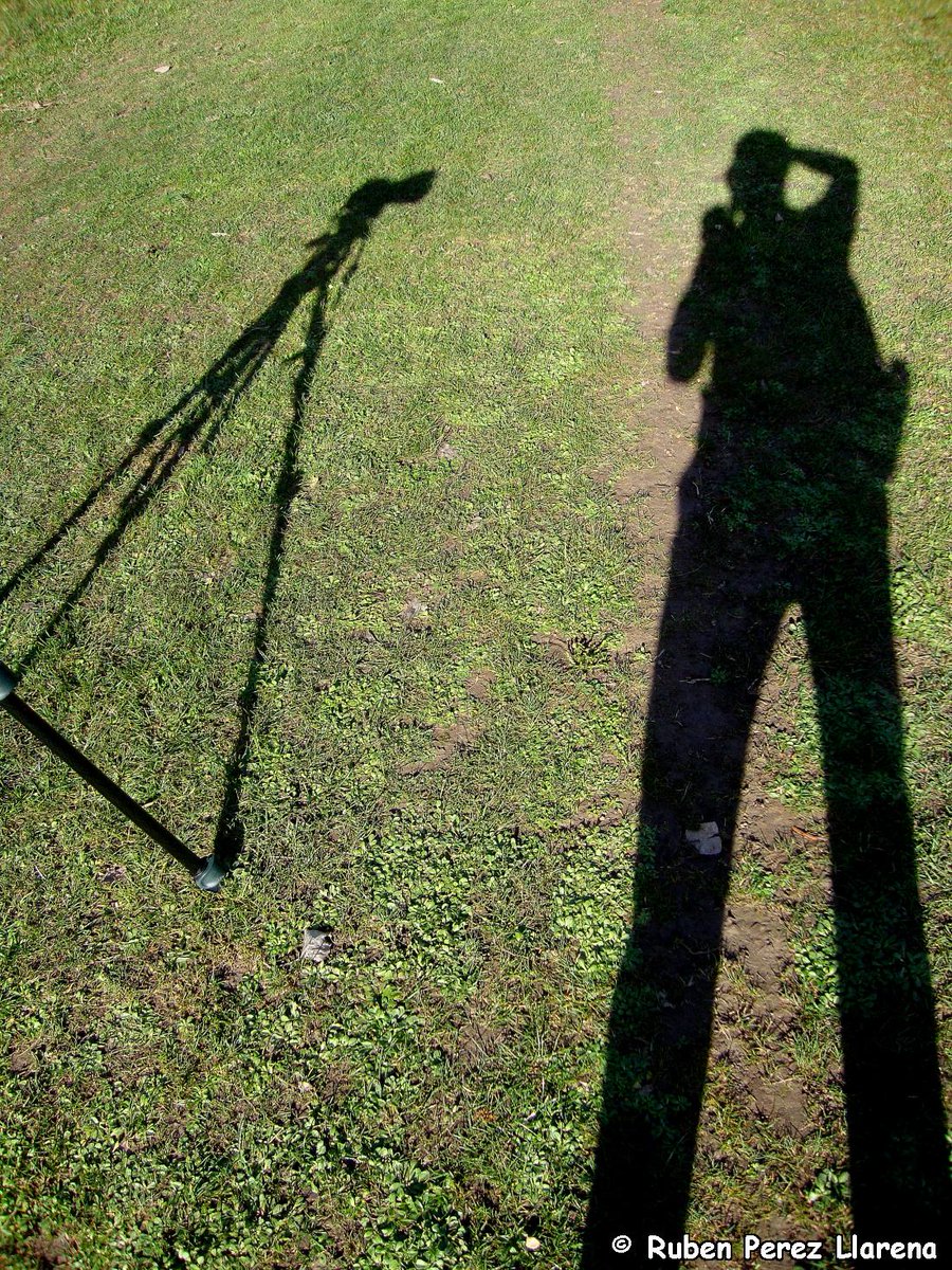 fotoruben's tweet photo. I Like Photography

"¿Cuál de mis fotos es mi fotografía preferida? Una que voy a hacer mañana."

Foto: @fotoruben http://t.co/QhBauGDRp4