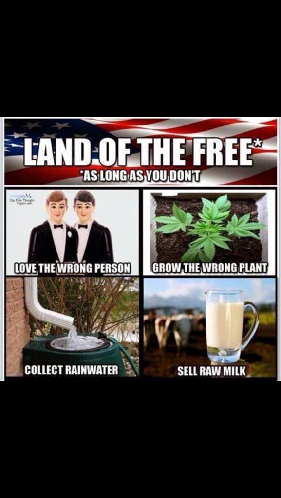 land of the free*